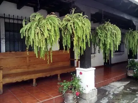 Hotel La Cupula Antigua 0*,  Guatemala